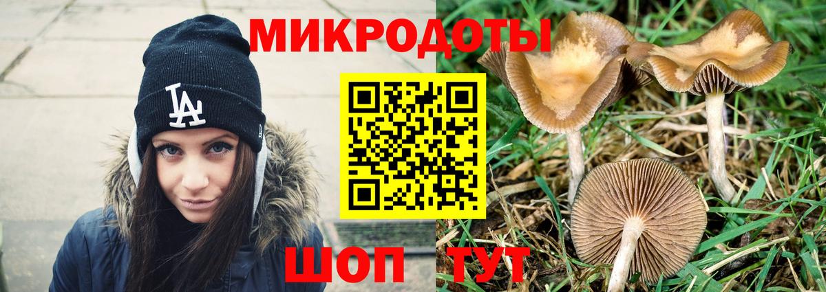 Псилоцибиновые грибы мицелий  Псилоцибиновые грибы Psilocybe  Вход с VPN  Мичуринск 