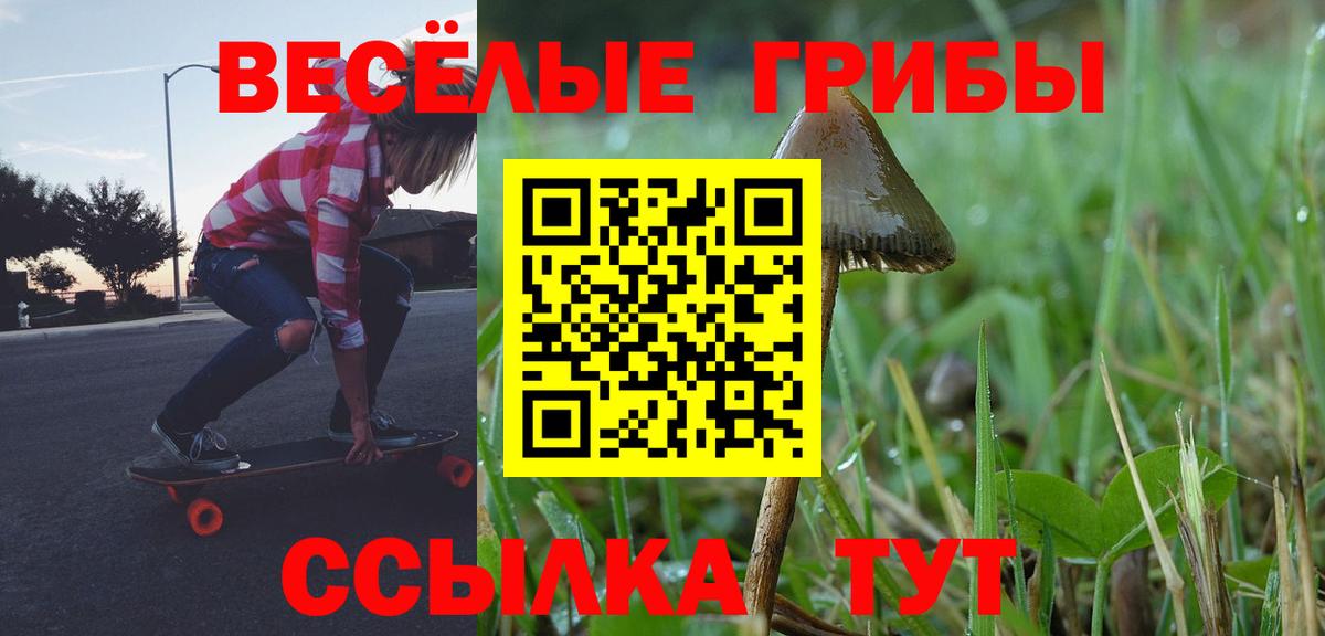 Псилоцибиновые грибы Magic Shrooms Мичуринск