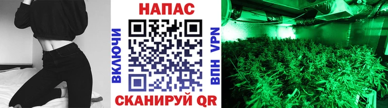Бошки марихуана Bruce Banner Мичуринск